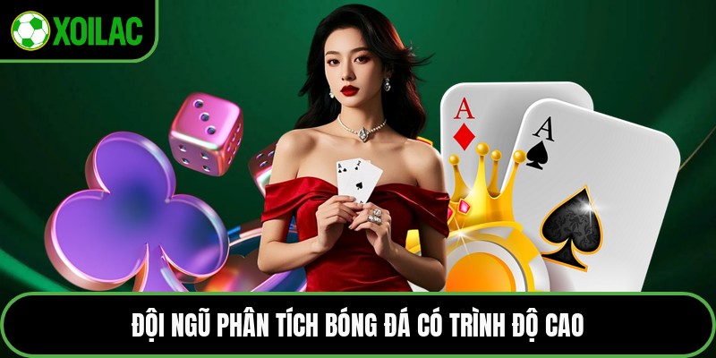 Đội ngũ phân tích bóng đá có trình độ cao