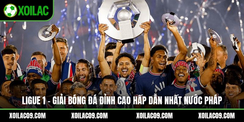 Ligue 1 - Giải Bóng Đá Đỉnh Cao Hấp Dẫn Nhất Nước Pháp