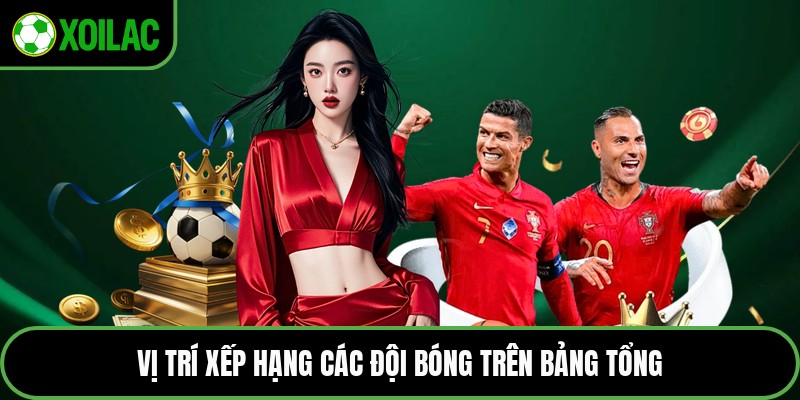 Vị trí xếp hạng các đội bóng trên bảng tổng