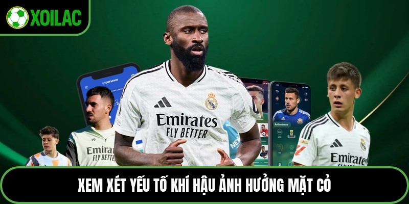 Xem xét yếu tố khí hậu ảnh hưởng mặt cỏ